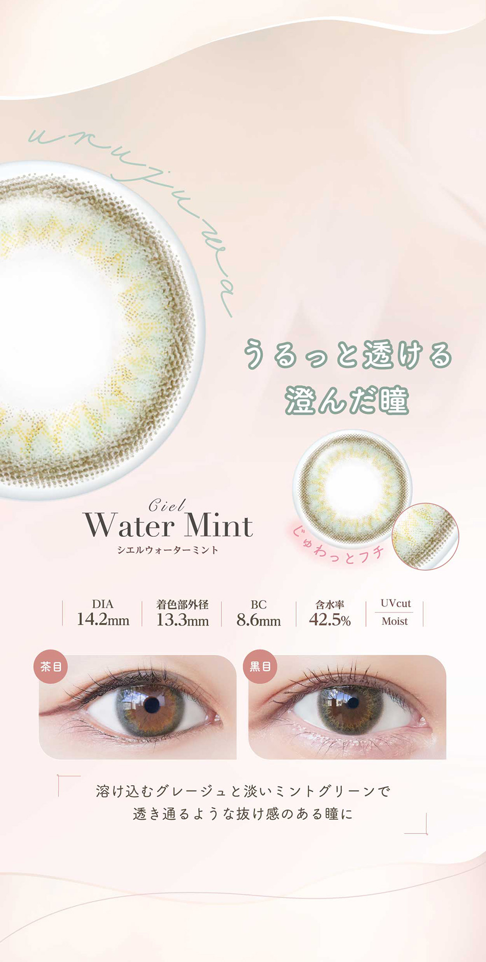 ネオサイトワンデー シエルUV【30枚入】レンズチャート