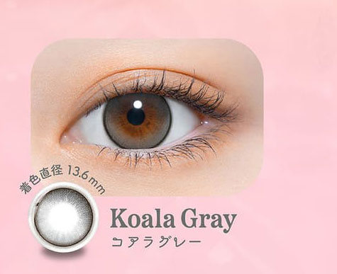 パース（perse）コアラグレー装着画像