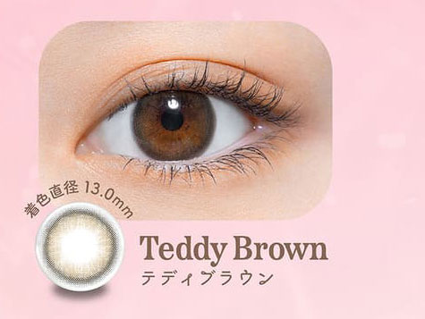 パース（perse）テディブラウン装着画像