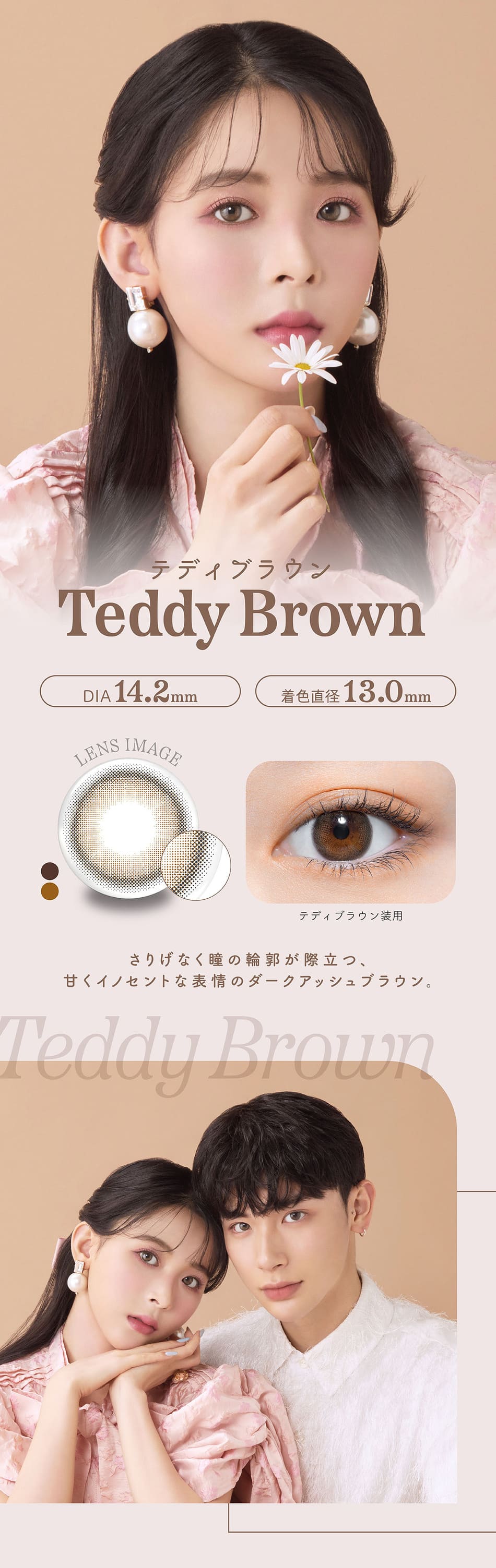 パース（perse）テディブラウン装着画像