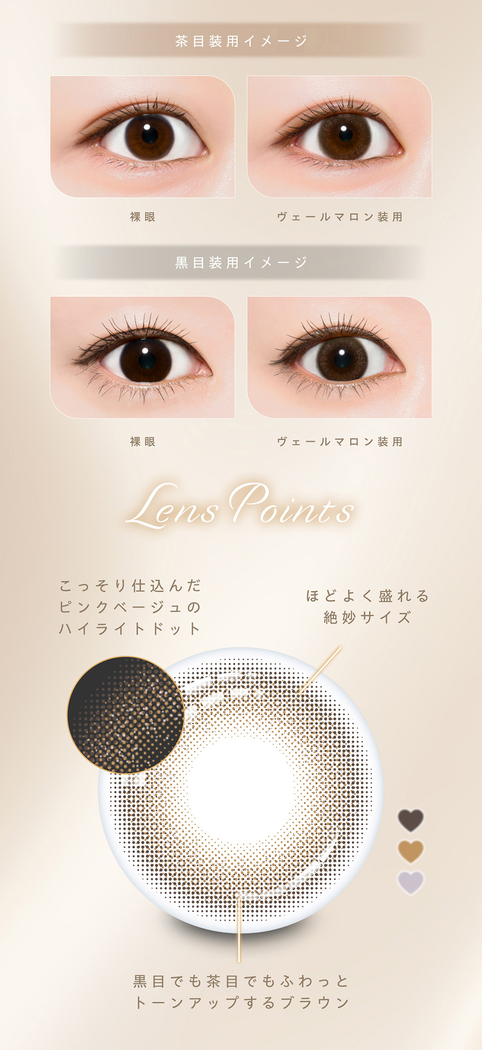 プロウィンク（ProWink）ヴェールマロン装着画像