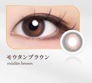 ヴィレジェ（VILLEGE）モウタンブラウン画像