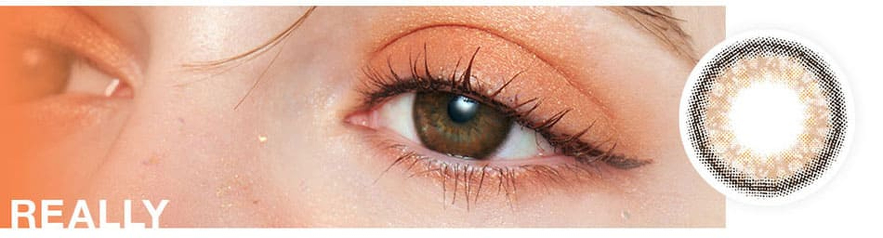 ヴァニタス（VNTUS）
 メインビジュアルリアリー画像