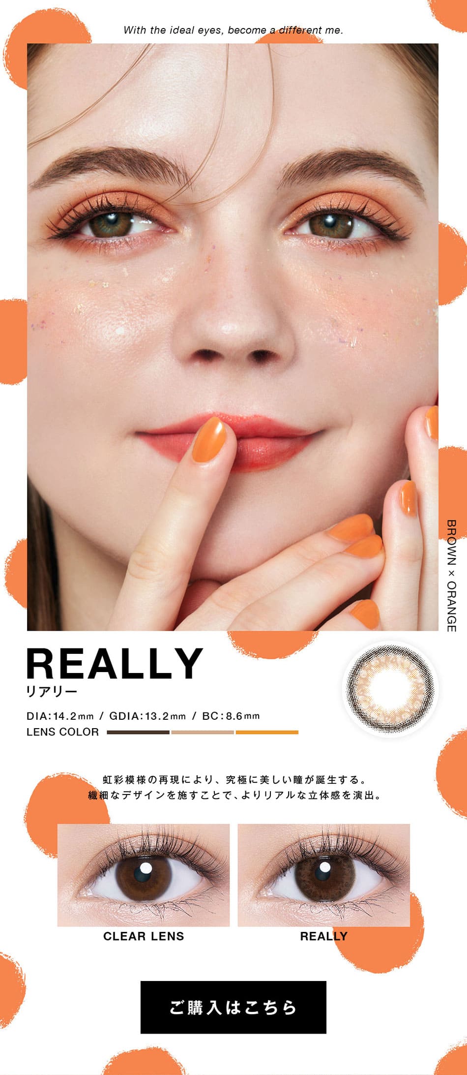 ヴァニタス（VNTUS）
 メインリアリー画像1