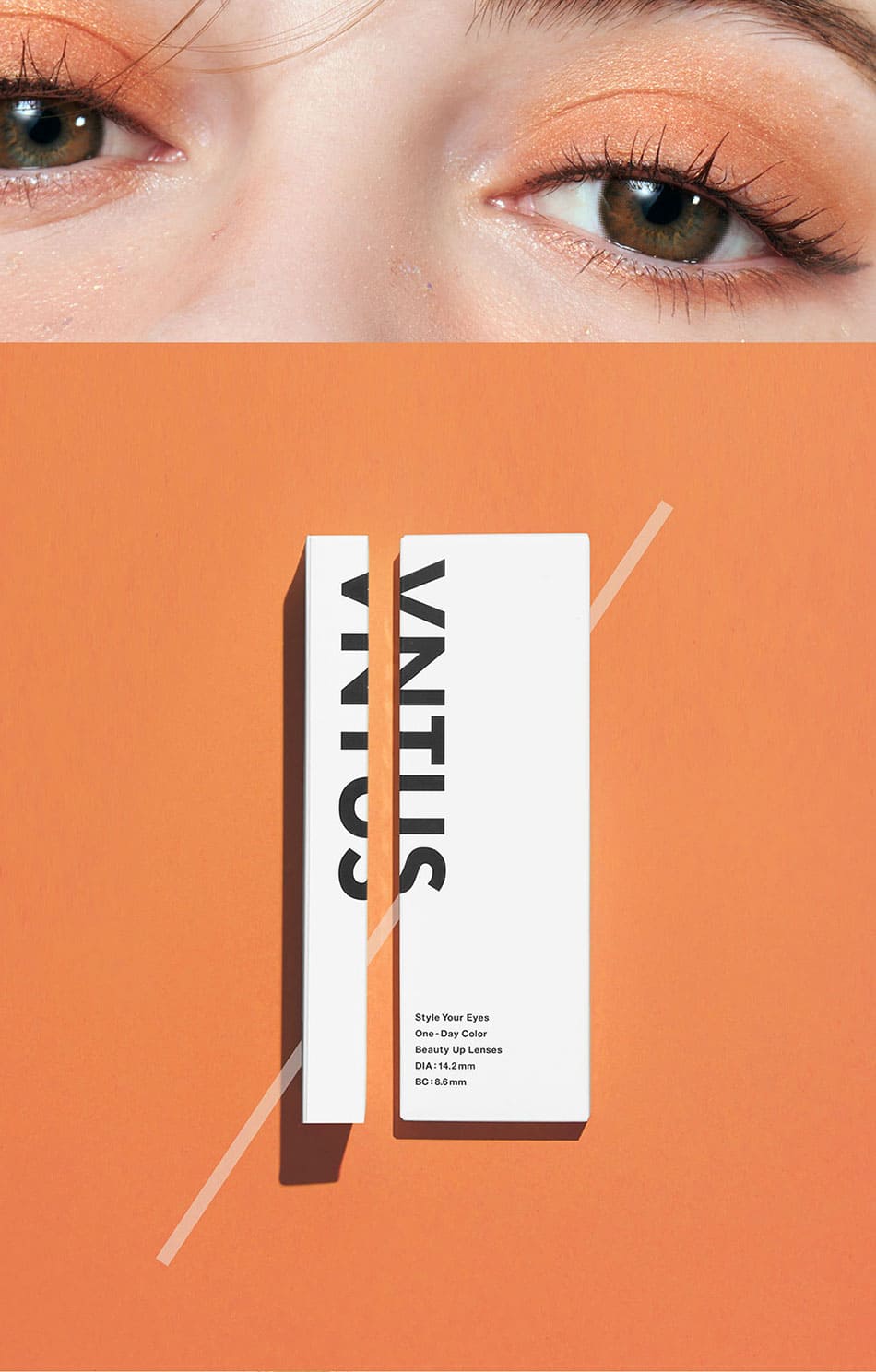 ヴァニタス（VNTUS）
 メインリアリー画像2