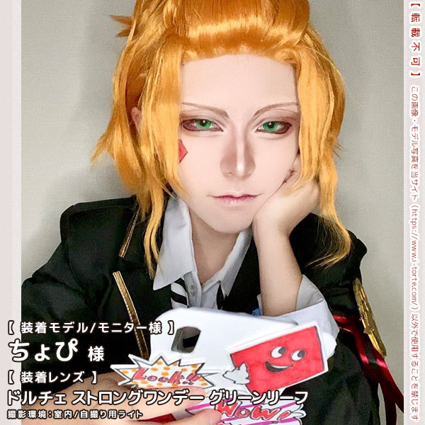 ドルチェストロングワンデーグリーンリーフ装着写真13