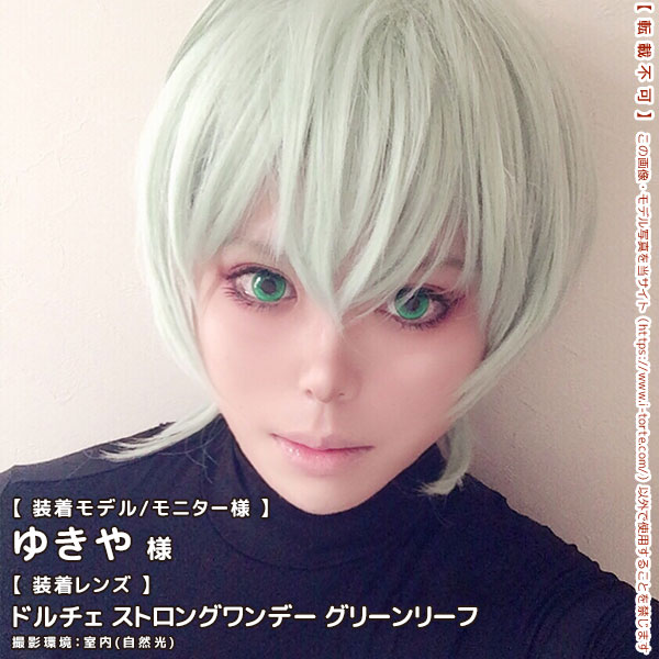 ドルチェストロングワンデーグリーンリーフ装着写真8