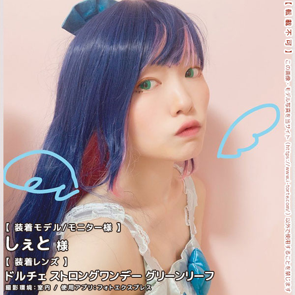 ドルチェストロングワンデーグリーンリーフ装着写真11