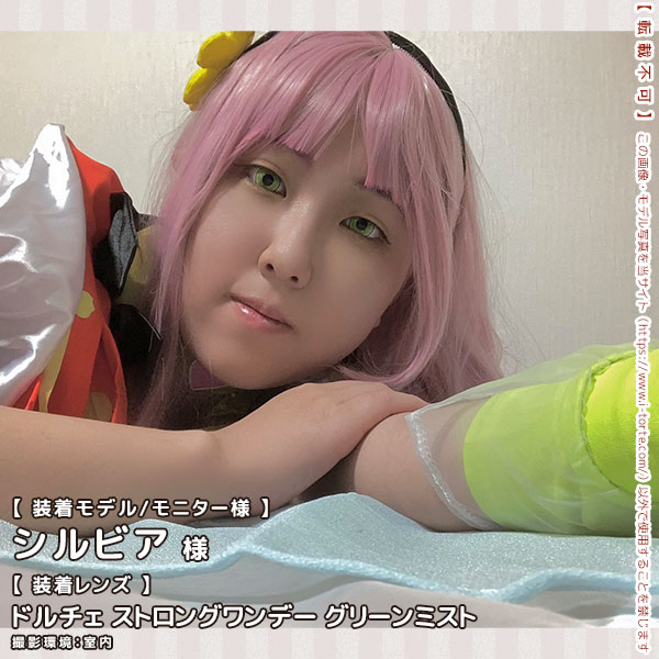 ドルチェストロングワンデーグリーンミスト装着写真6