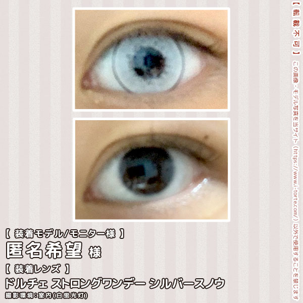 ドルチェストロングワンデーシルバースノウ装着写真5