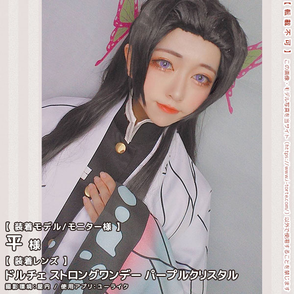 ドルチェストロングワンデーパープルクリスタル装着写真1