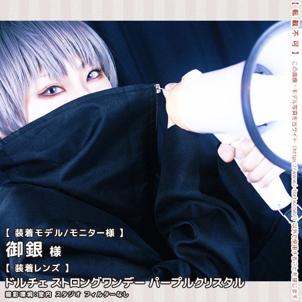 ドルチェストロングワンデーパープルクリスタル装着写真7