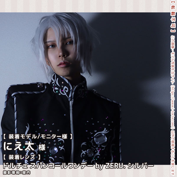 DOLCEドルチェ スパンコールワンデーシルバー装着写真2