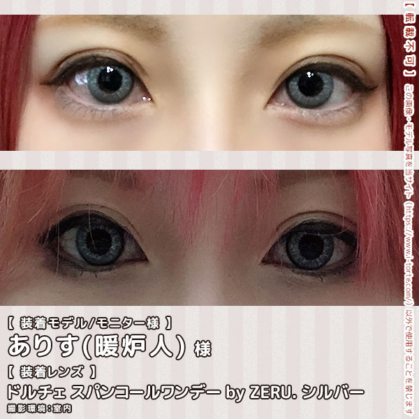 DOLCEドルチェ スパンコールワンデーシルバー装着写真6