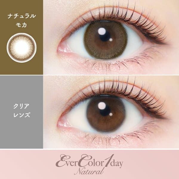 エバーカラーワンデーナチュラル ナチュラルモカ|コスプレカラコン通販