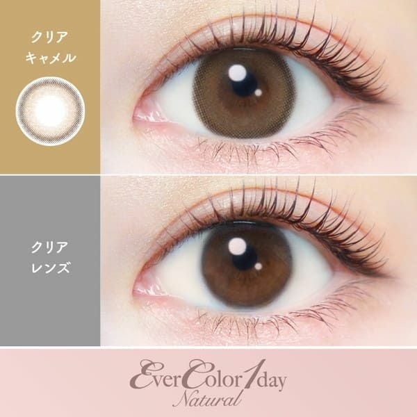 エバーカラーワンデーナチュラル クリアキャメル|コスプレカラコン通販
