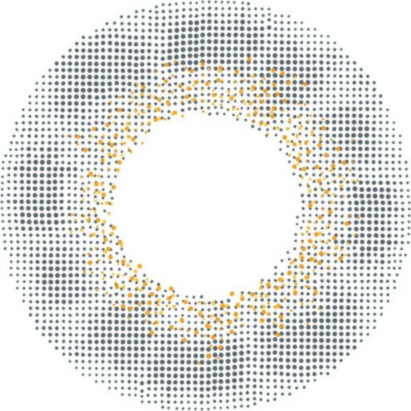 エンジェルカラー バンビシリーズ ヴィンテージワンデー ヴィンテージグレーレンズ画像|コスプレカラコン通販アイトルテ