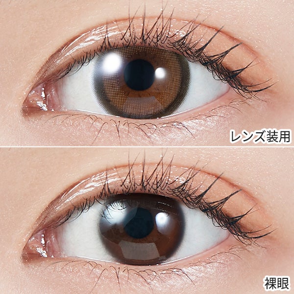 乱視用カラコン モラク トーリック（MOLAK TORIC）ブラウンバニー装着画像|コスプレカラコン通販アイトルテ