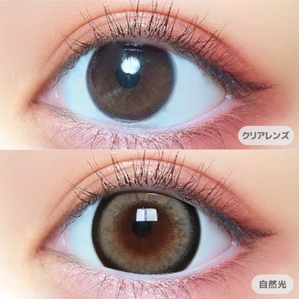 プリモア ワンデー PRIMORE 1day 商品画像