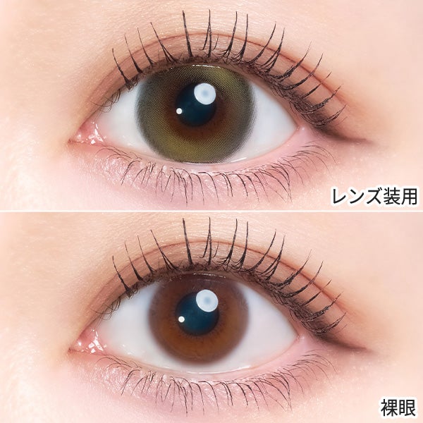 エンジェルカラー バンビシリーズマンスリー Angelcolor Bambi series 1month 商品画像